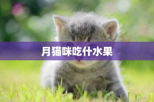 月猫咪吃什水果